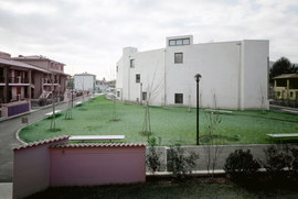 335519625_normal