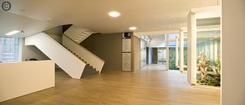 1034426411_large