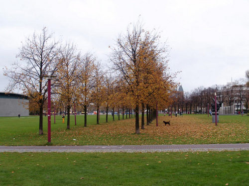 387038651_large