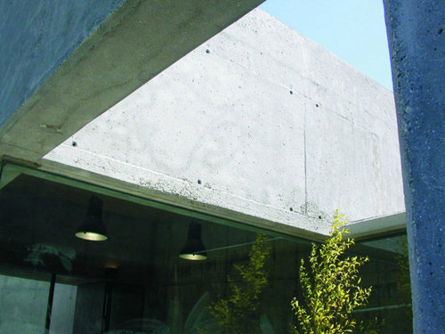 264212728_large