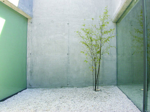5330618_large