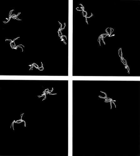 2045569113_large