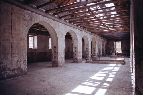 113763279_large
