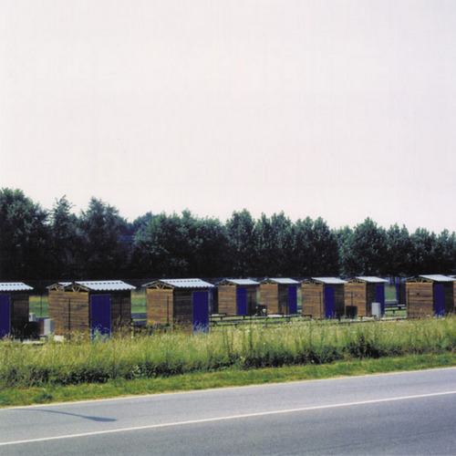 1913516461_large