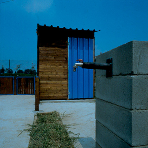 1368427836_large