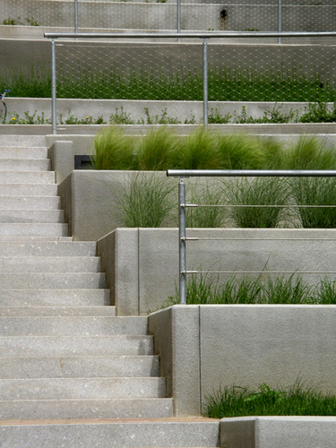 Imgp5133_copia_large