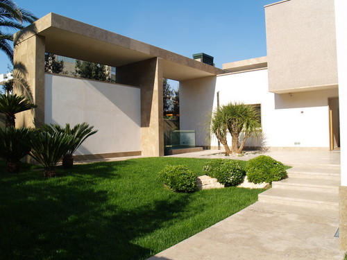 P1010569_large