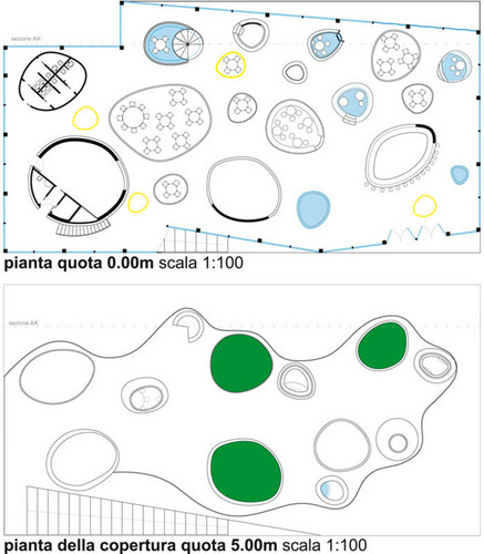 Piante_large