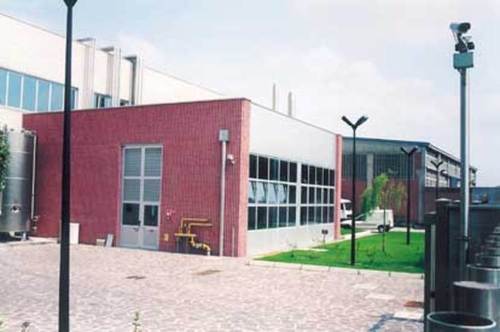 13827081_large