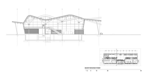 P008_large