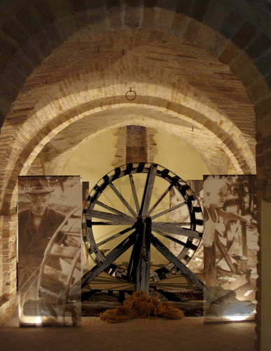 Immagine_con_ruota_bice_piacentini_copia_large
