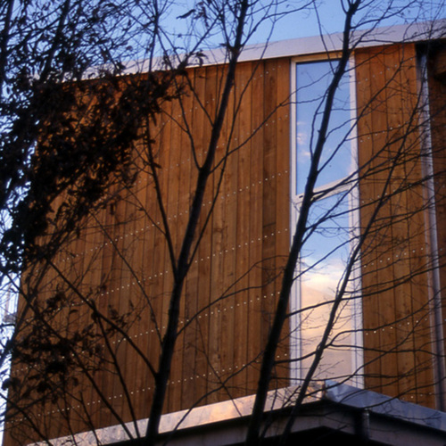 Saccardo9_large
