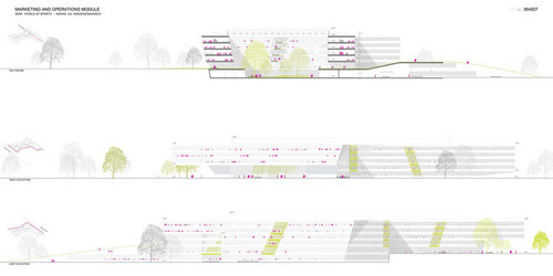 05_mom_section_elevations02_large