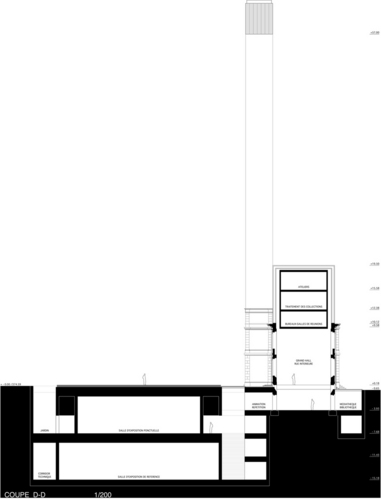 13-corte_dd_large