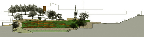 Sezione_1_large