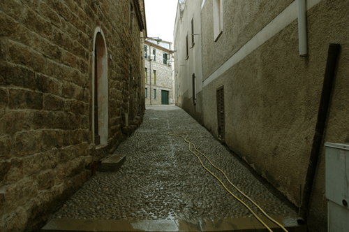 Foto_12_rim_large