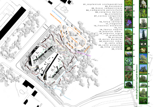 Planovolumetrico_large