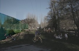 3_normal