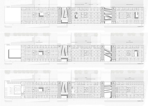 Planta_1-2-3_large