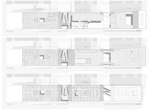 Plantas_4-5-6_large