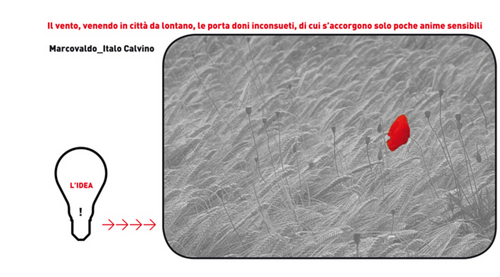 Immagine1_large