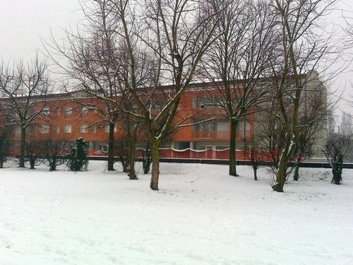 Image00001_large