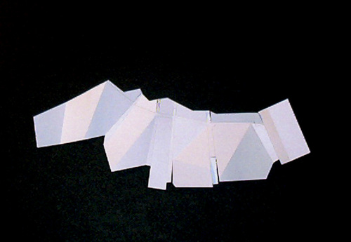 Sal_model_large