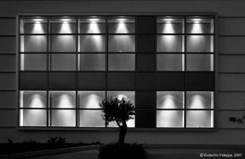 Foto-06_large