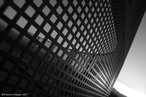Foto-15_large