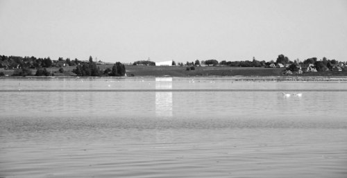 A_large