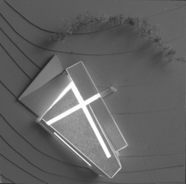 Nr-29_normal