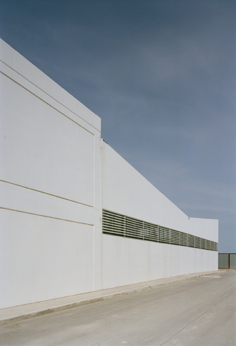 Untitled29_large