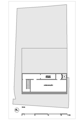 Planta-cave_large