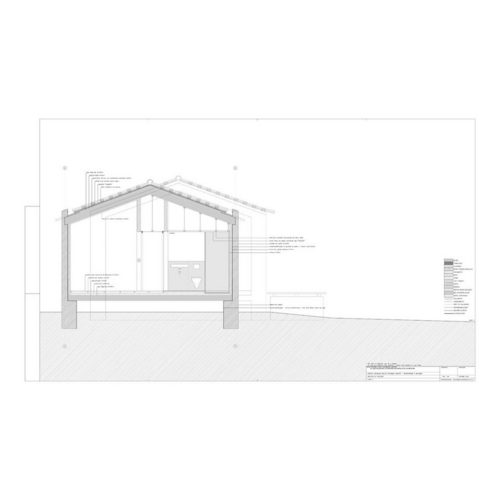Cortes-trans_20-model_large