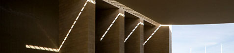 L1