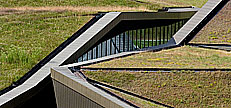 N2