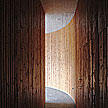 O3