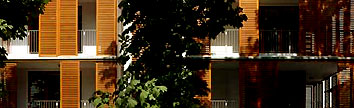 B1