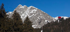 E1