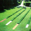 15-land-i-archicolture4