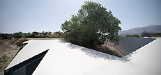 C2