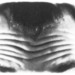 564_thumb