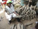 Bapane Nsurebe Elmina, Ghana, 