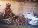 Ami Collé Samb Tamba, Senegal, 