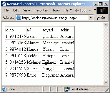 DataGrid kontrolünün tarayıcıdaki görünüşü..