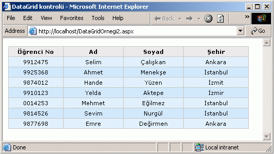 DataGridOrngei3.gif