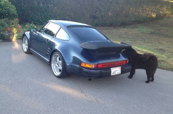 1985-carrera