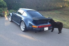 1985-carrera