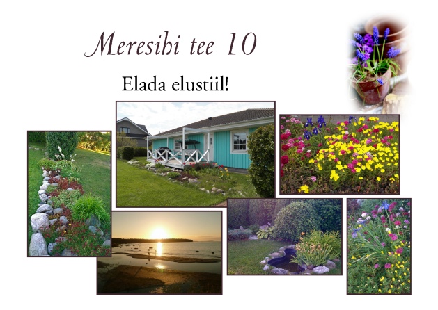 property in Estonia