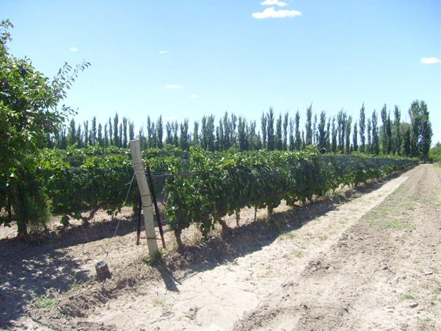 property in Argentina